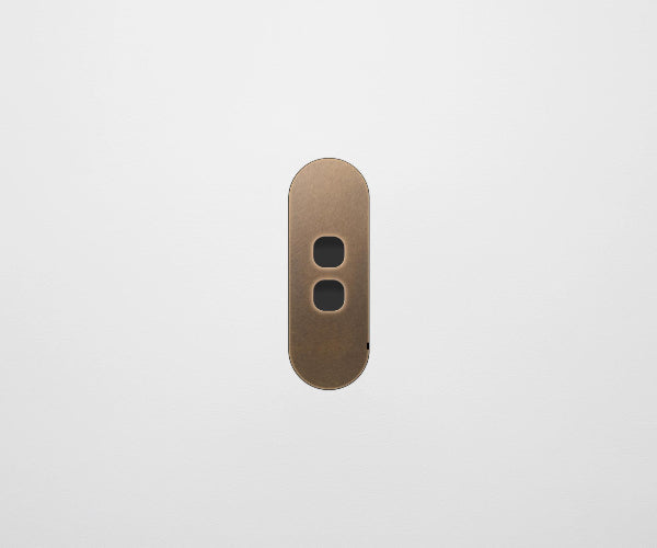 ZETR Carbon 2 Gang Faceplate