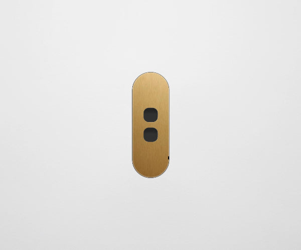 ZETR Carbon Nano 2 Gang Faceplate