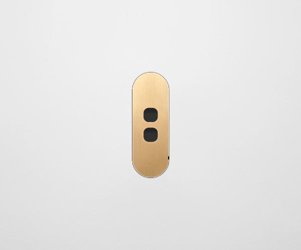 ZETR Carbon 2 Gang Faceplate