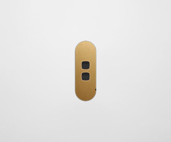 ZETR Carbon Nano 2 Gang Faceplate