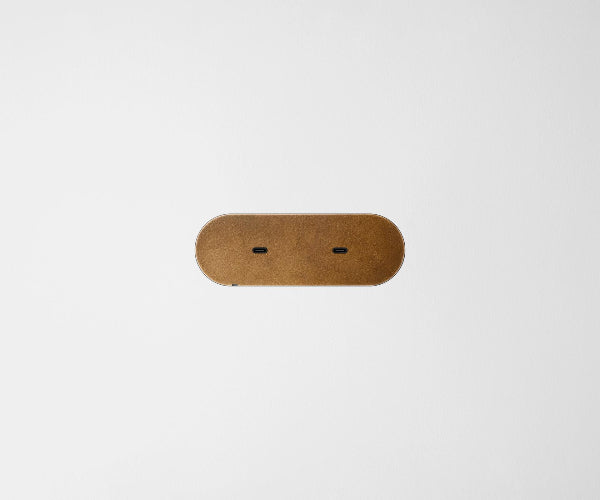 Dual USB-C Carbon Cover Plate Aged Brass Black
