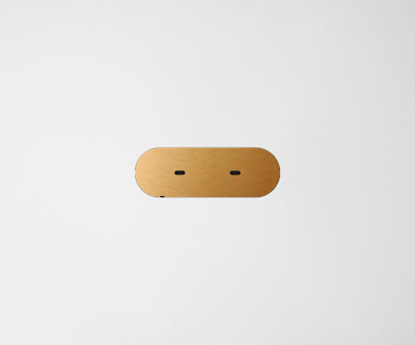 ZETR Dual USB-C Carbon Nano Brass Cover Plate Black