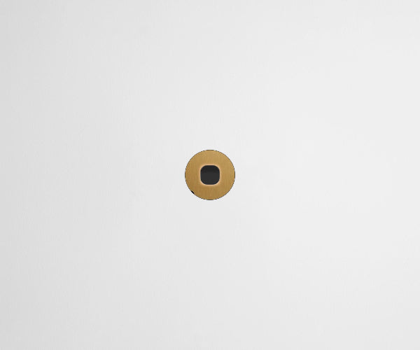 ZETR 48 Round Series 1 Gang Carbon Cover Plate Clipsal Nano Brass
