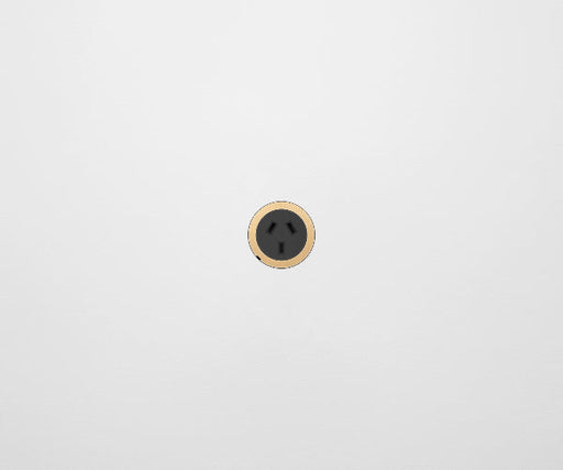 ZETR 48 Carbon Black Single Powerpoint Cover Plate Natural Brass
