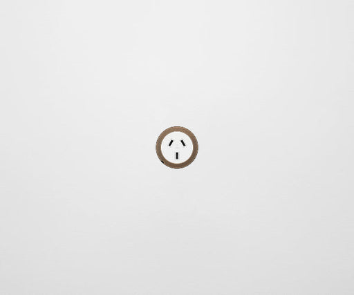 ZETR 48 Carbon White Single Powerpoint Cover Plate Aged Brass