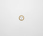 ZETR 48 Carbon White Single Powerpoint Cover Plate Nano Brass