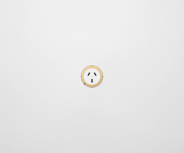 ZETR 48 Carbon White Single Powerpoint Cover Plate Natural Brass