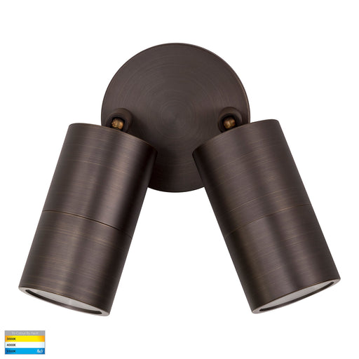 Havit Tivah TRI Colour Double Adjustable Wall Pillar Light Antique Brass