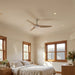 Fanco Infinity-iD V3 DC Ceiling Fan With Light beechwood insitu
