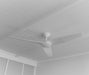 Fanco Infinity-iD - 54" DC Ceiling Fan (Wall Control)