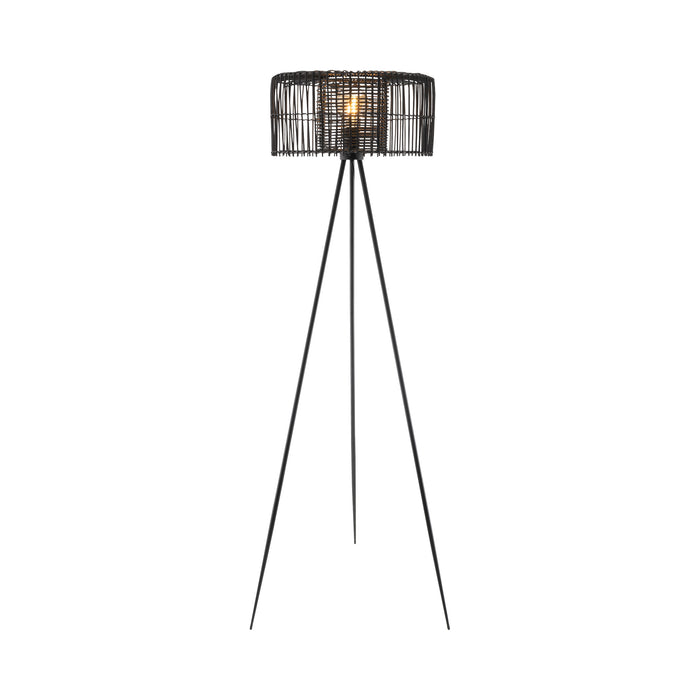 Finley - Floor Lamp