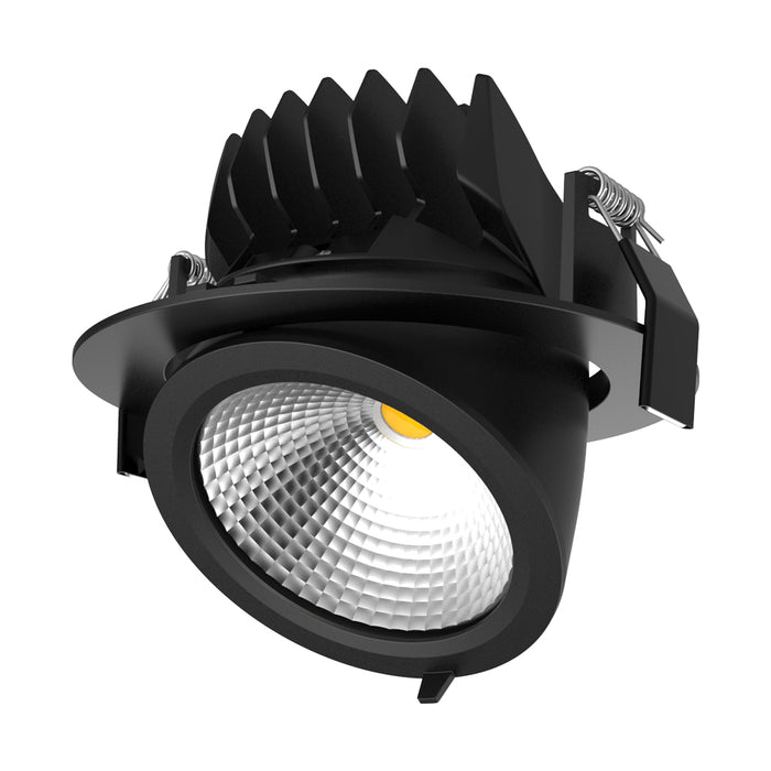 Domus Scoop-25 - Round Adjustable LED Downlight